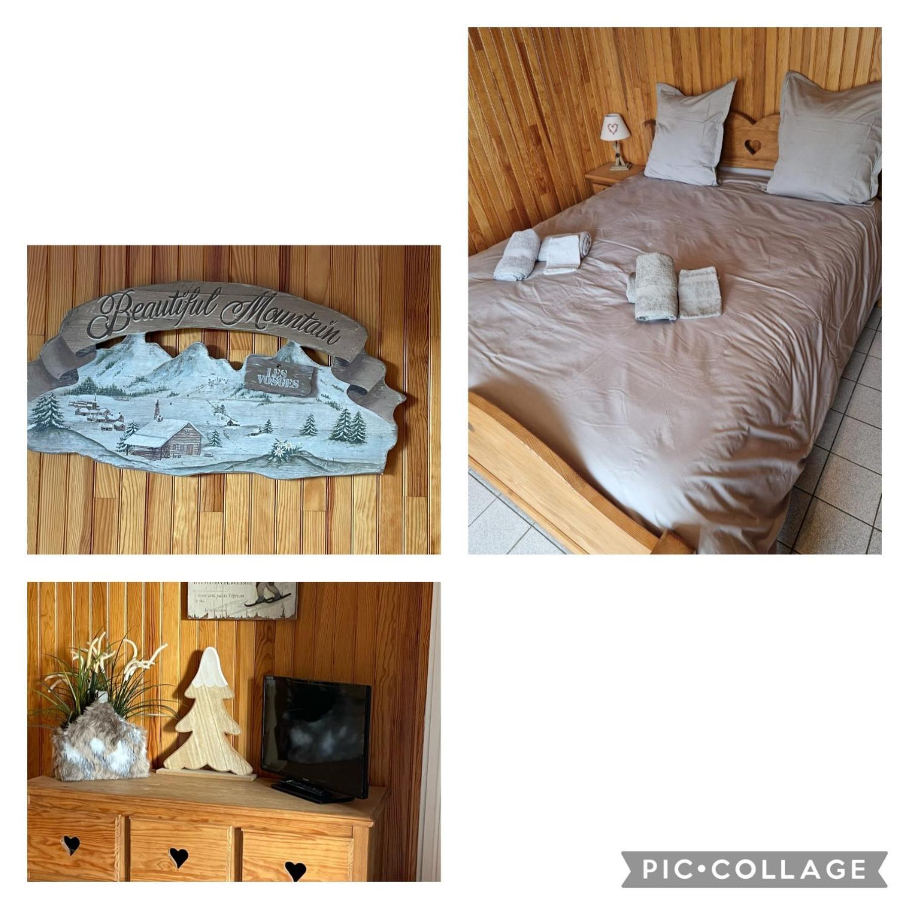 Les Dryades Appartement